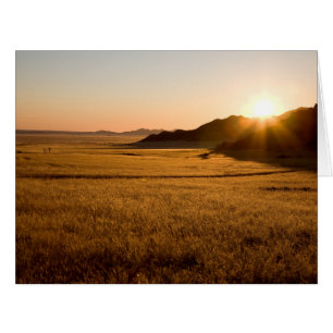 Namib Naukluft Park
