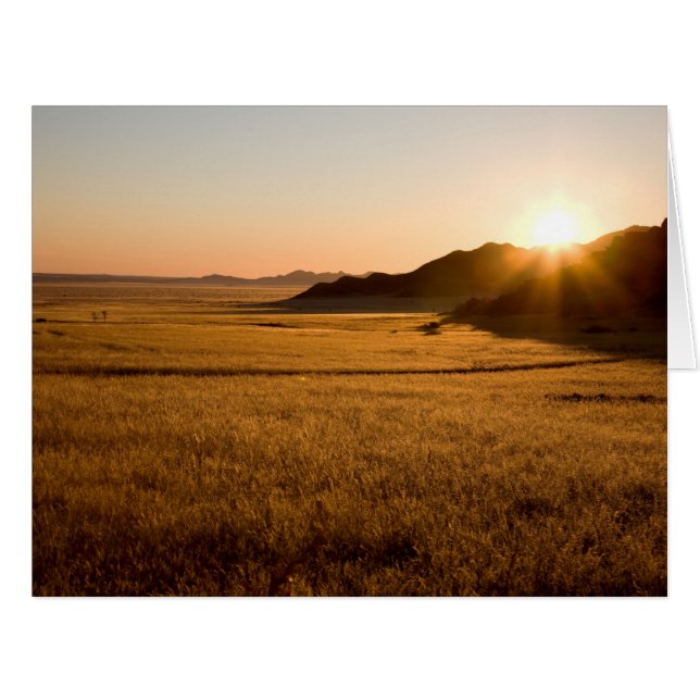 Namib Naukluft Park (Vorderseite (Horizontal))