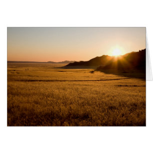 Namib Naukluft Park