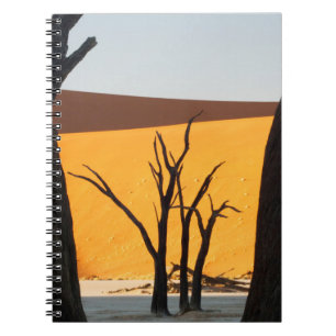 Namib-Naukluft Park, Sossusvlei  Totes Vlei Notizblock