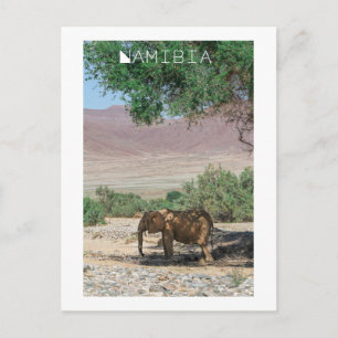 Namibia Africa Huab River Elephant Damaraland Postkarte