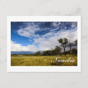 Namibia Africa Landscape Namibian Nature Bushveld Postkarte