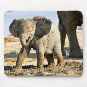 Namibia, Afrika: Baby African Elephant Mousepad