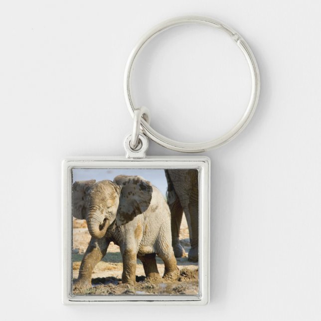 Namibia, Afrika: Baby African Elephant Schlüsselanhänger (Vorne)