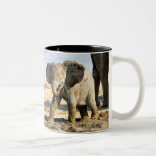 Namibia, Afrika: Baby Afrikanischer Elefant Zweifarbige Tasse