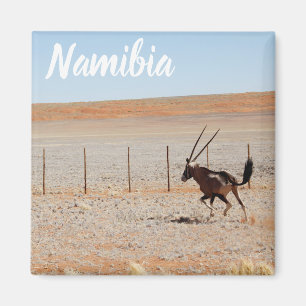 Namibia Afrika Landschaft Namibia Wüste Oryx Magnet