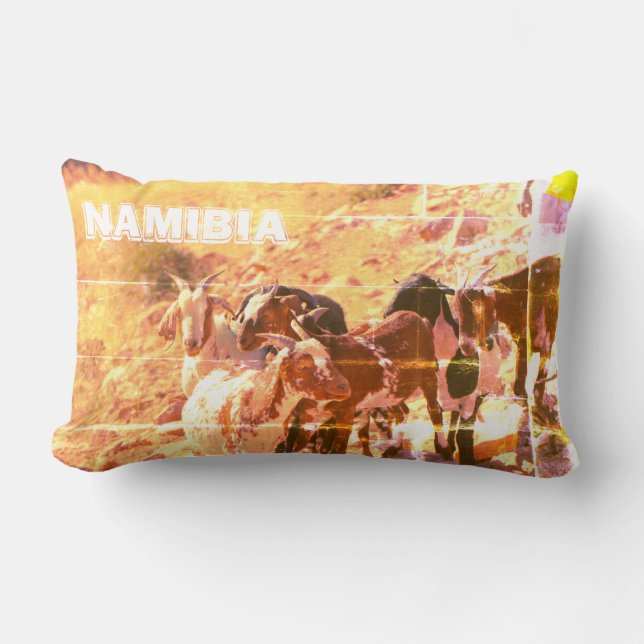 Namibia Afrika Namibia Ziegen Lendenkissen (Vorderseite)
