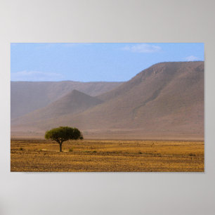 Namibia Afrika Wüstenlandschaft Landschaft Natur Poster
