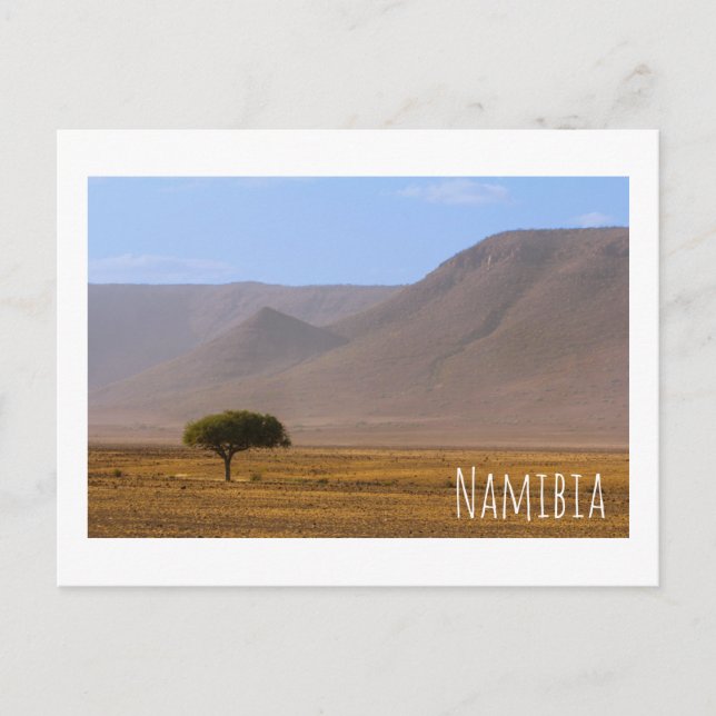 Namibia Afrika Wüstenlandschaft Landschaft Natur Postkarte (Vorderseite)