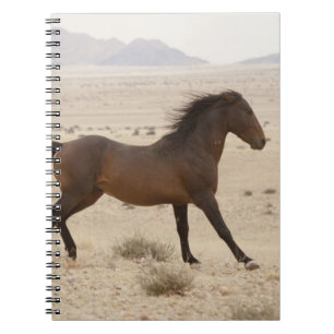 Namibia, Aus. Wilde Pferde, die auf der Namib lauf Notizblock