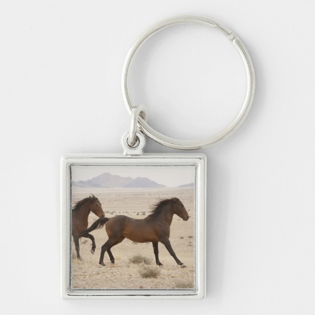 Namibia, Aus. Wilde Pferde, die auf der Namib lauf Schlüsselanhänger (Vorne)