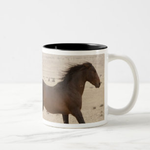 Namibia, Aus. Wilde Pferde laufen auf der Namib Zweifarbige Tasse