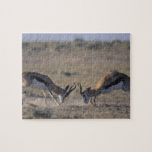 Namibia, Etosha National Park, zwei Männer (Horizontal)