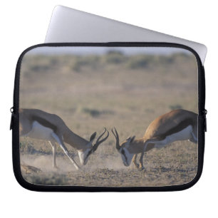 Namibia, Etosha-Nationalpark, Zwei männliche Laptopschutzhülle