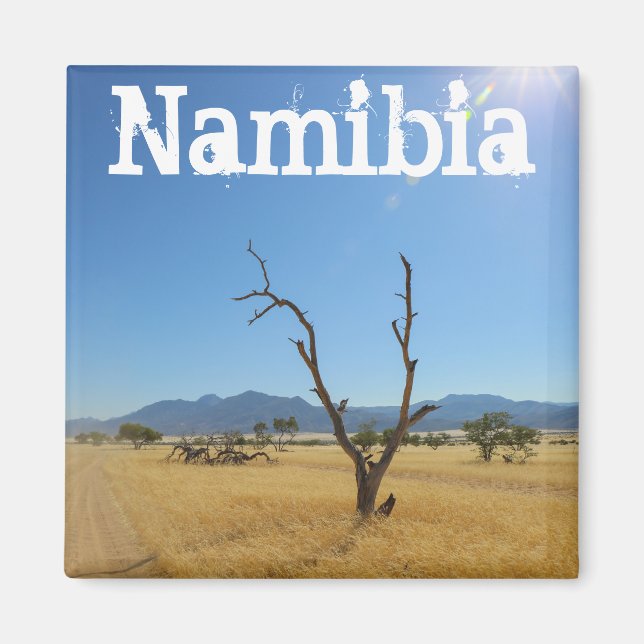 Namibia MarienŌ Savannah Landschaft Magnet (Vorne)