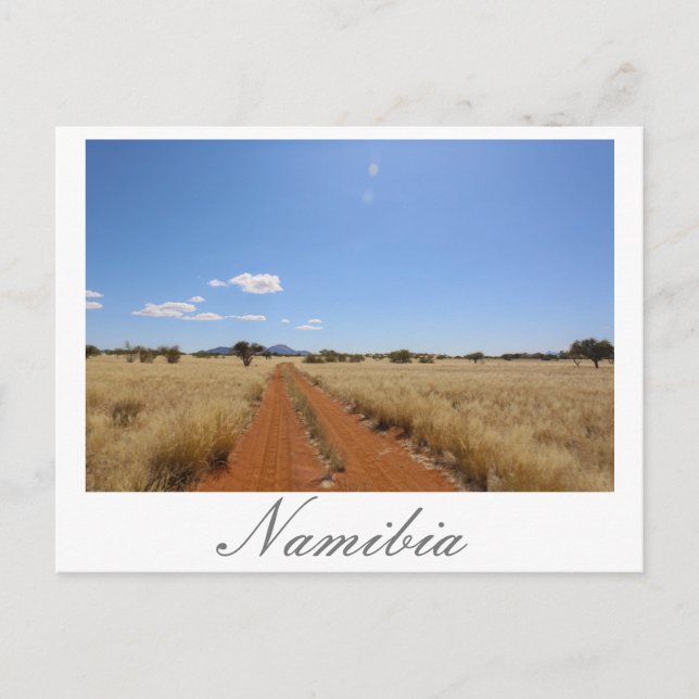 Namibia MarienŌ Savannah Landschaft Postkarte (Vorderseite)