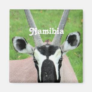 Namibia Oryx Magnet