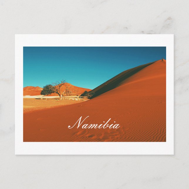 Namibia Sand Dunes Landschaft Sossusvlei Postkarte (Vorderseite)