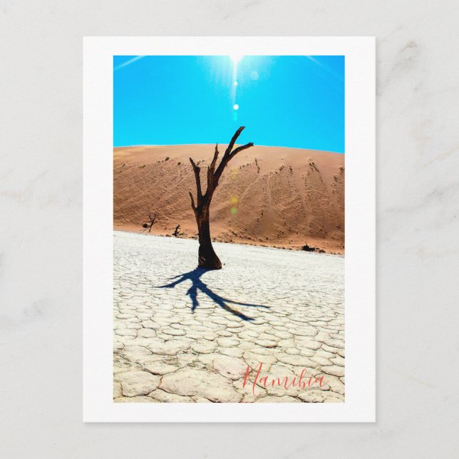 Namibia Sand Dunes Landschaft Sossusvlei Postkarte (Vorderseite)