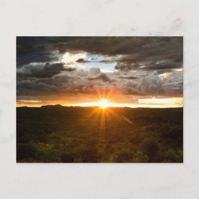 Namibia - Sunset over the plains postcard Postkarte (Vorderseite)