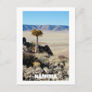 Namibia Tirool Namib Wüste Landschaft Natur Postkarte