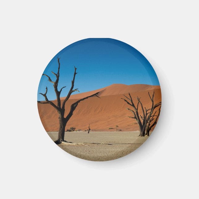 Namibia - versteinerte Bäume am Dead Vlei-Magneten Magnet (Vorne)