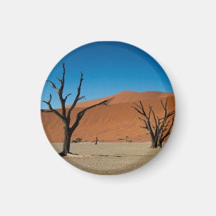 Namibia - versteinerte Bäume an totem Vlei Magnet