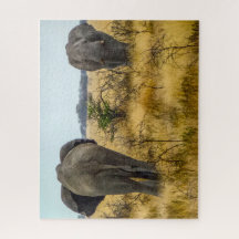 Namibie Jigsaw Puzzle - éléphants sauvages dans l'