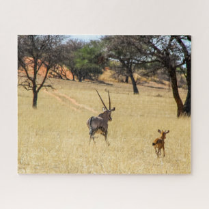 Namibie Safari Jigsaw Puzzle - oryx sauvage
