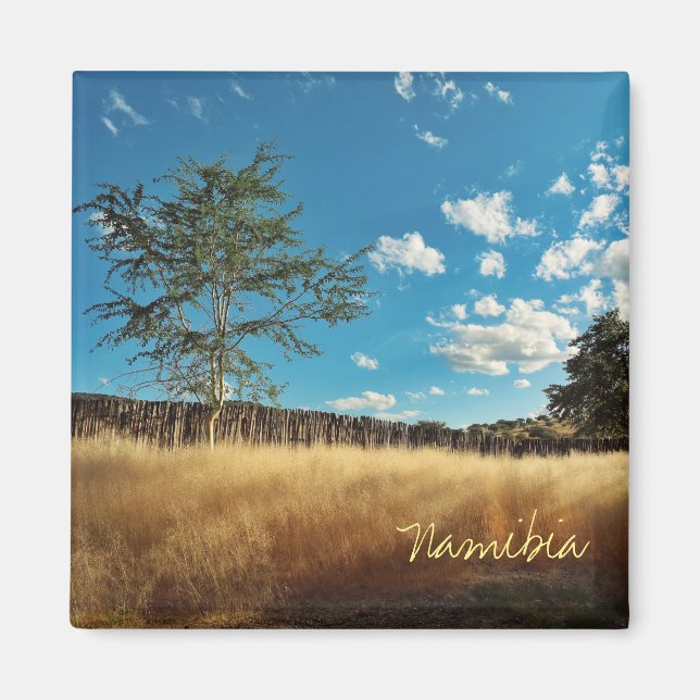 Namibie Savannah Savanna Paysage Magnet (Devant)
