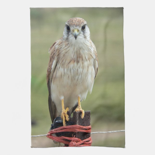 Nankeen Kestrel Geschirrtuch (Vertikal)