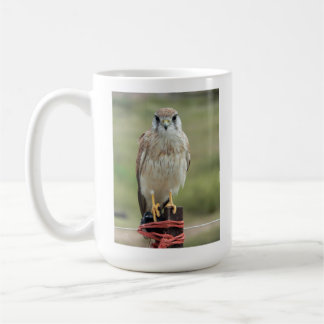 Nankeen-Turmfalkenvogelporträt Kaffeetasse