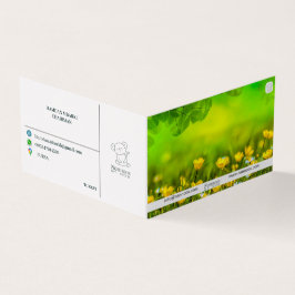 NANNOOS CARTE DE VISITE PLIÉ