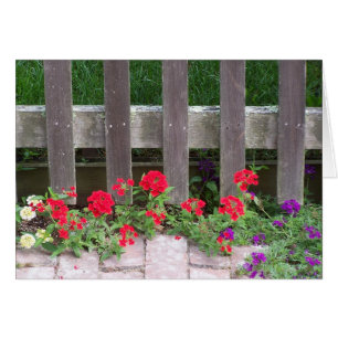 Nantucket Blumensammlung