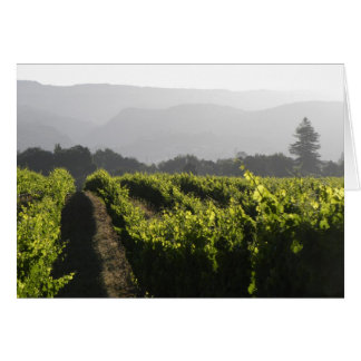 Napa matin brouillard