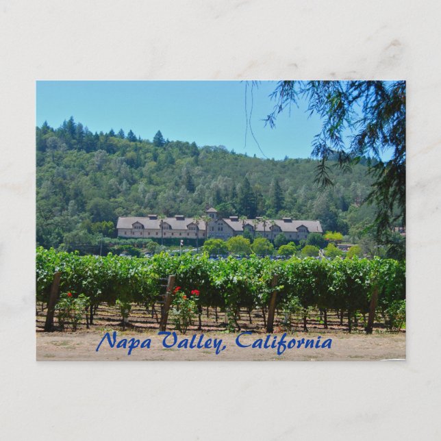 Napa Valle California Weinberg Postkarte (Vorderseite)