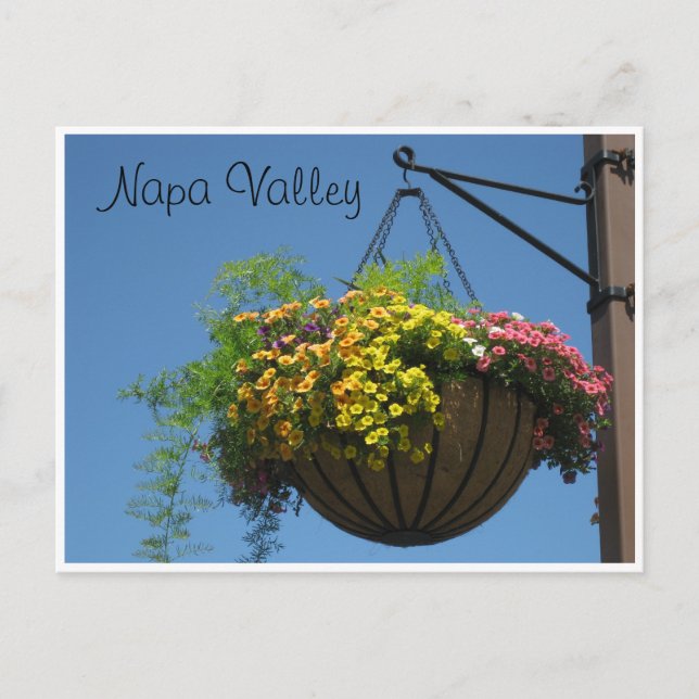 Napa Valley, Ca. Postkarte (Vorderseite)