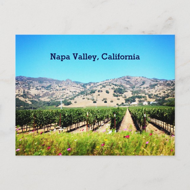 Napa Valley, California Postcard Postkarte (Vorderseite)
