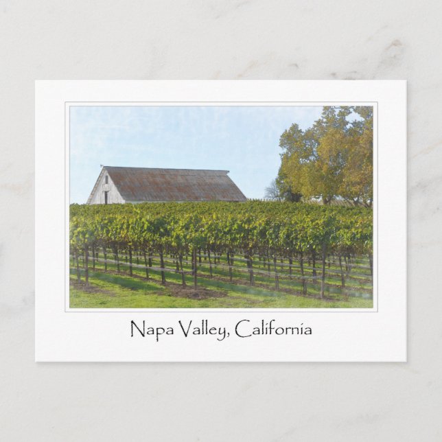 Napa Valley California Weinberg und Stall Postkarte (Vorderseite)