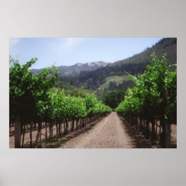 Napa Vineyard Poster