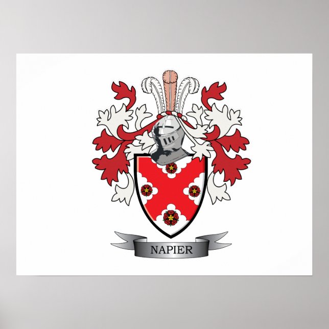 Napier-Familienwappen-Wappen Poster (Vorne)