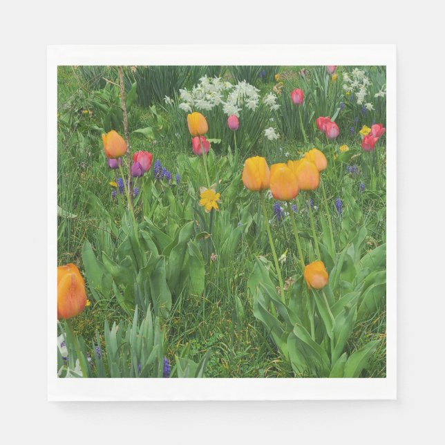 Napkins Serviette (Vorderseite)