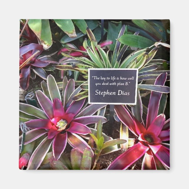 Naples Florida Botanischer Garten Stephen Dias Zit Magnet (Vorne)