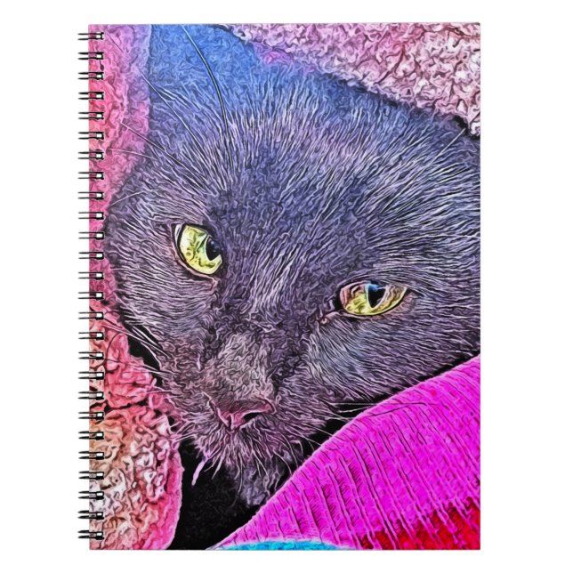 Napoleon in einer Decke Notizblock (Vorderseite)