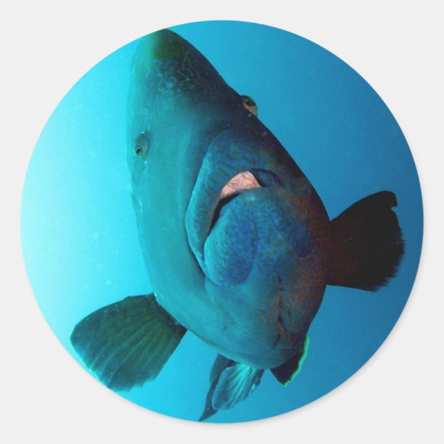 Napoleon Runder Aufkleber (Vorderseite)