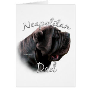 Napolitain Mastiff Papa 2