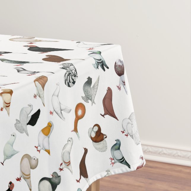Nappe 36 races de pigeon (In Situ)