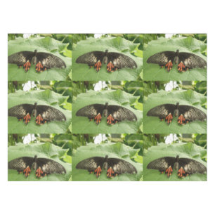 Nappe à papillon noir rouge et or
