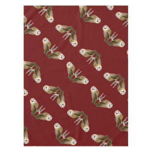 Nappe Barn Owl