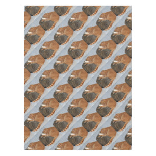 Nappe Boule de la laideur